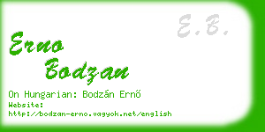 erno bodzan business card